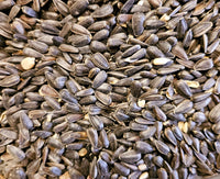 Schwarze Sonnenblumenkerne