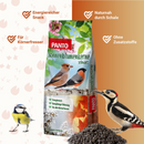 Sonnenblumenkerne schwarz – Energielieferant für Wildvögel