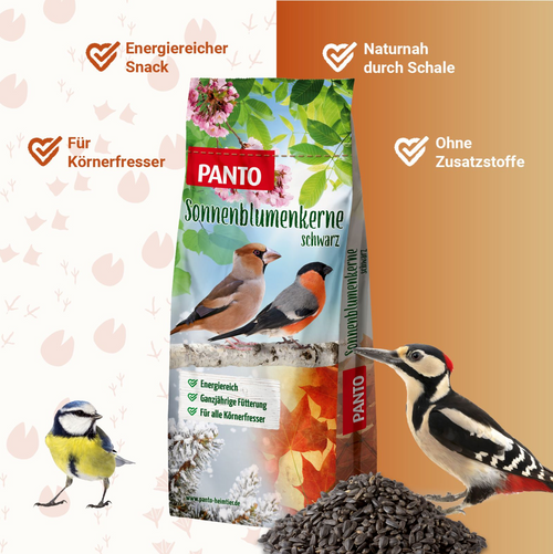 Sonnenblumenkerne schwarz – Energielieferant für Wildvögel