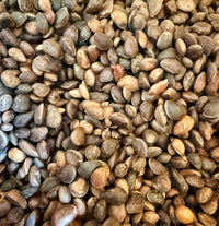 Zirbelnüsse