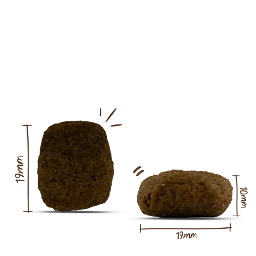 bosch HPC Menue Adult mit Rind, Leber & Pansen