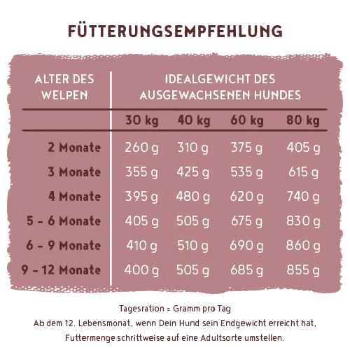 bosch HPC Menue Junior mit Tierwohl-Pute + Hafer & Hirse