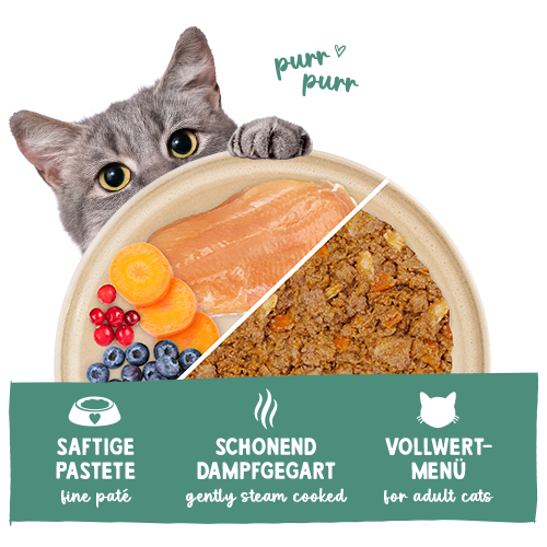 Sanabelle Freshe Mieze Nassfutter Forelle, Pute & Huhn