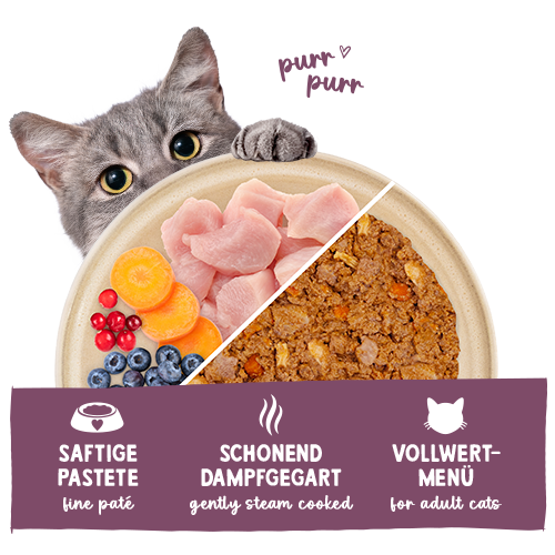 Sanabelle Freshe Mieze Nassfutter Huhn