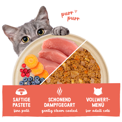 Sanabelle Freshe Mieze Nassfutter Pute & Huhn