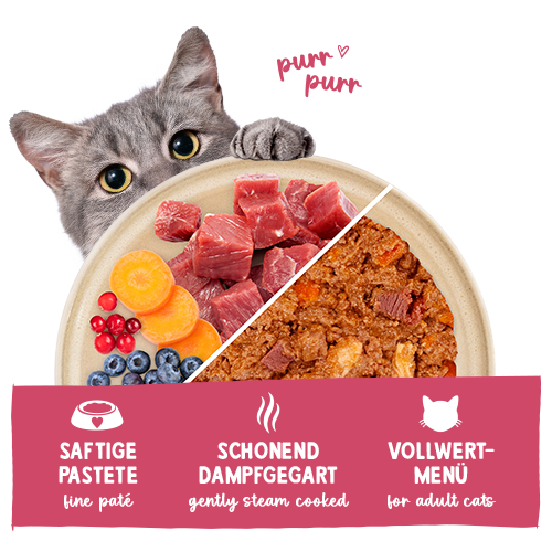 Sanabelle Freshe Mieze Nassfutter Rind & Huhn