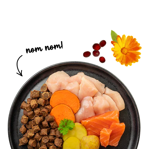 Sanabelle Juicy Juicy Nordsee-Lachs