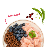 Sanabelle Life Adult Huhn & Blaubeeren