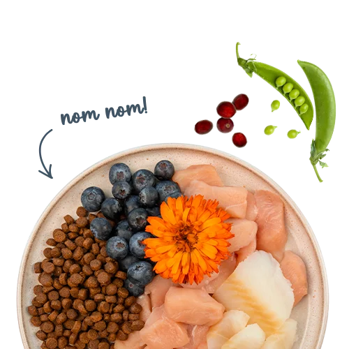 Sanabelle Life Adult mit Forelle & Blaubeeren
