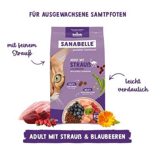 Sanabelle Life Adult mit Strauß