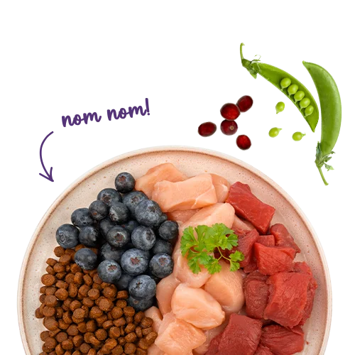 Sanabelle Life Adult mit Strauß