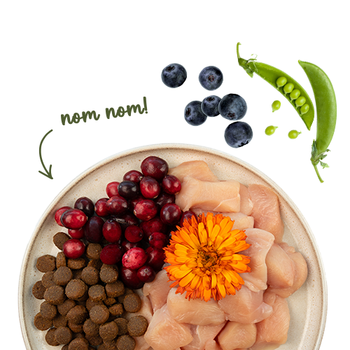 Sanabelle Life Grande Huhn & Preiselbeeren