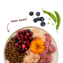 Sanabelle Life Indoor mit Perlhuhn & Preiselbeeren