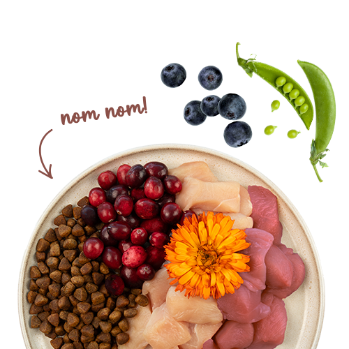 Sanabelle Life Indoor mit Perlhuhn & Preiselbeeren
