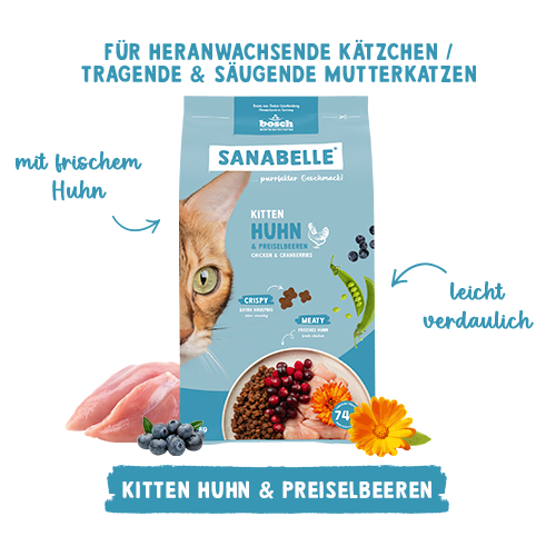 Sanabelle Life Kitten mit Geflügel