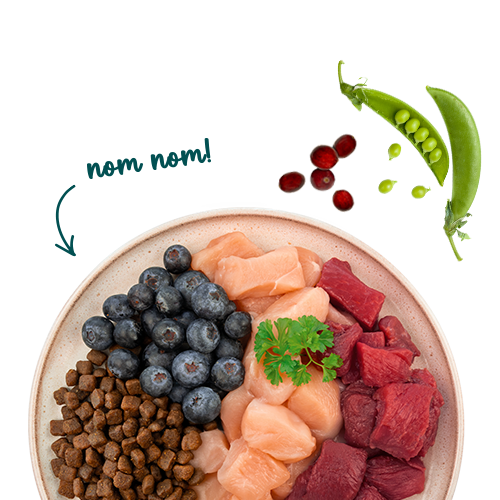 Sanabelle Life Outdoor mit Ente & Blaubeeren