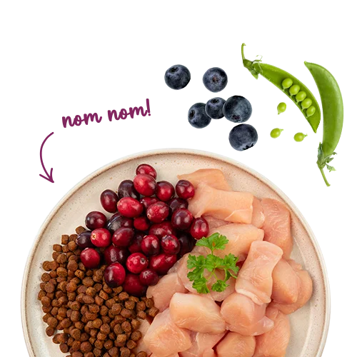 Sanabelle Life Senior Huhn & Preiselbeeren