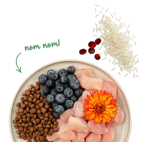 Sanabelle Life Sensitiv mit Geflügel