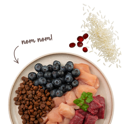 Sanabelle Life Sensitive mit Lamm & Blaubeeren